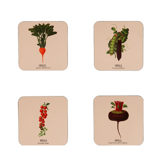 RHS Benary Vegetables Set of 4 Coasters - Stone